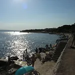Marino *