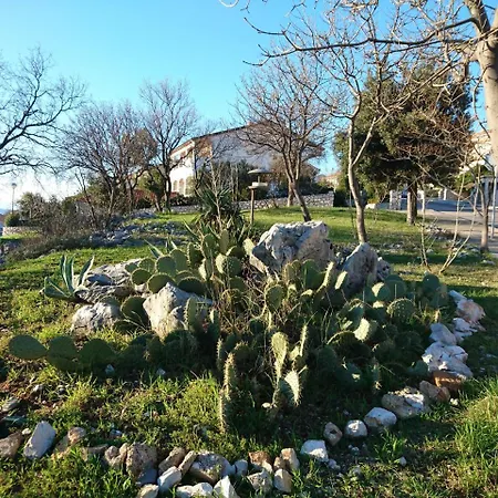 Marino Novi Vinodolski