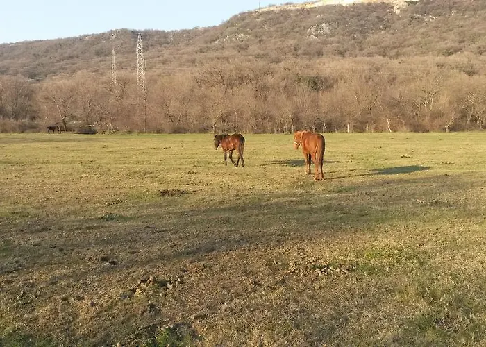 Marino Appartement Novi Vinodolski